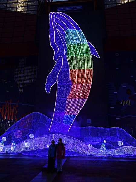 Osaka Aquarium penguin lights with Jen & James
