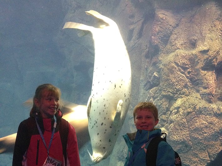 Jen James sea Lion