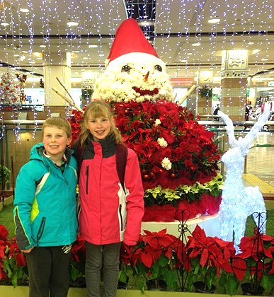 JJ Santa flowers